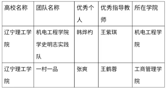 喜报|我校在“返家乡，爱家乡，赞家乡”大学生专项社会实践活动中荣获佳绩！